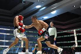 บทบาทของสมาคมมวยสากลอาร์เจนตินาต่อการพัฒนาวงการ รากฐานสำคัญสู่ความสำเร็จระดับโลก